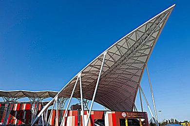 陶德：很后悔没为老滚5等添加更多内容 未来会改变